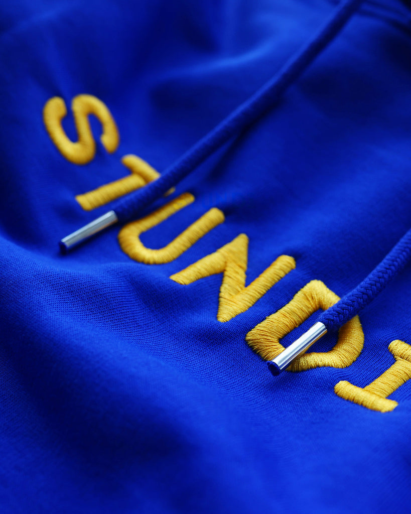 Mode für hundebesitzer, Geschenke für Hundebesitzer, Hoodie, Merch, Hundestunde, Stundi, Blau