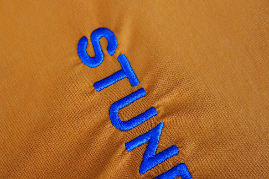 Mode für hundebesitzer, Geschenke für Hundebesitzer, Shirt, Merch, Hundestunde, Stundi, Orange